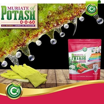 Muriate of Potash Fertilizer for Flowers and Vegetables