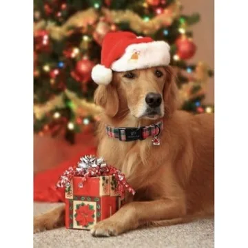 UP URARA PUP Christmas Dog Collar for Festive Dogs
