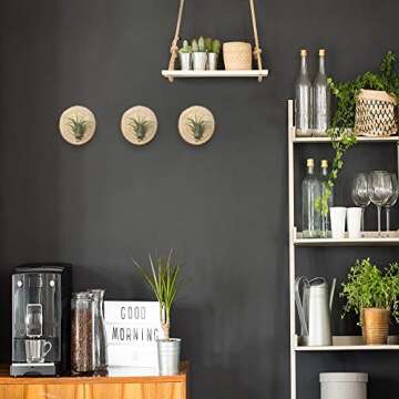 Natural Wooden Air Plant Holder Set - Danmu 3Pcs