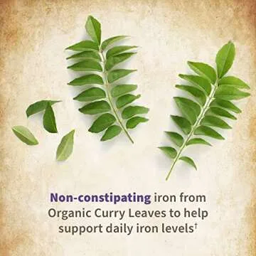 MyKind Organic Prenatal Vitamins for Healthy Pregnancy