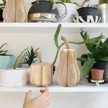 AOCEAN 2 Pcs Thanksgiving Wooden Pumpkins Unfinished Wood Pumpkins to Paint Fall Pumpkin Tabletop Sign Wooden Autumn Pumpkins for Crafts Thanksgiving Home Decorations (White)