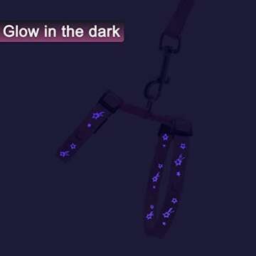 Adjustable Glow in the Dark Cat Harness and Leash Set