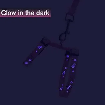 Adjustable Glow in the Dark Cat Harness and Leash Set