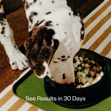 Maev Raw Dog Food - Quality Nutrition for Happy Pets