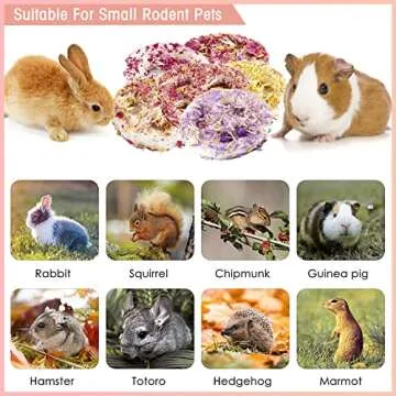 Natural Bunny Chew Toys for Rabbits & Small Pets Delight