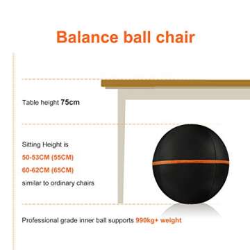 NAQIER Sitting Ball Chair with Cover, Exercise Yoga Ball for Office and Home Muscle Training Fitness, 65cm Workout Ball with Pump and Handle