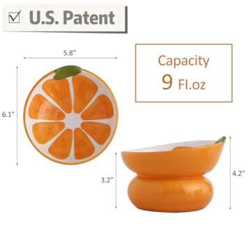 Yeexoxow Ceramic Raised/Elevated Cat Food Bowl for Indoor Cats, Anti Vomiting & Protect Pet's Spine,...