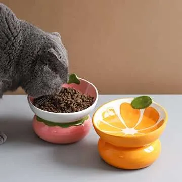 Cute Ceramic Raised Cat Bowl for Healthy Eating