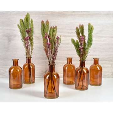 Serene Spaces Living Bud Vases, Apothecary Jars, Decorative Glass Bottles, Centerpiece for Wedding Reception, Mini Flower Vases, Small Medicine Bottles for Home Decor (Amber, Set of 6)
