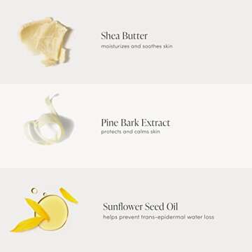 Jane Iredale PureBronze Shimmer Bronzer Refill Bronzing Powder with Buildable Coverage Lightweight & Breathable Cruelty-Free 4 Blendable Shades