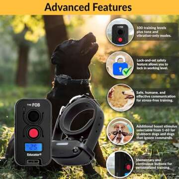 Educator FOB 300 Yard Dog Training Collar with Remote, Rechargeable and Humane Features