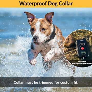 Educator FE-560B Dog Training Collar for Effective Training