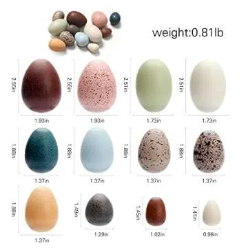 Wooden Artificial Bird Eggs - Ideal Educational Montessori Toy