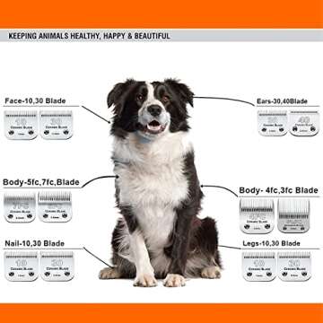 AIJALY 10 Blades Dog Grooming Blades Compatible with Andis/Wahl/Oster Pet Clippers AG AGC Ceramic Sharp Size-10, 1/16-Inch Cut Length (#10 Blade/1PC)