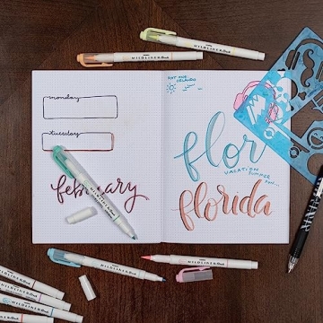 Zebra Mildliner Brush Marker - Dual Tip Pastel Colors 15 Count