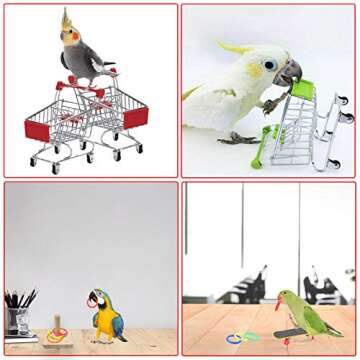 Koea 4 Pcs Fun Bird Training Toys Set for Small Birds