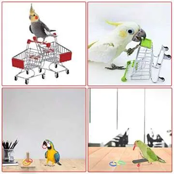 Koea 4 Pcs Fun Bird Training Toys Set for Small Birds