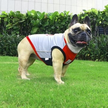 iChoue Summer Cooling Shirt for French Bulldog