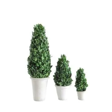 Creative Co-Op Boxwood Topiary in Clay Pot