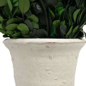 Creative Co-Op Boxwood Topiary in Clay Pot
