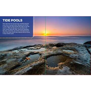 Discovery Real Life Sticker Book: Ocean (Discovery Real Life Sticker Books)