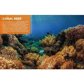 Discovery Real Life Sticker Book: Ocean (Discovery Real Life Sticker Books)