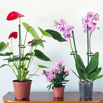 MIALEXO Green Plant Support Stakes - 19pcs Durable for All Plants