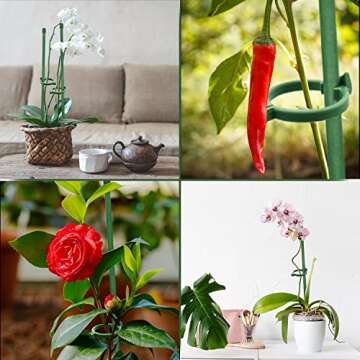 MIALEXO Green Plant Support Stakes - 19pcs Durable for All Plants