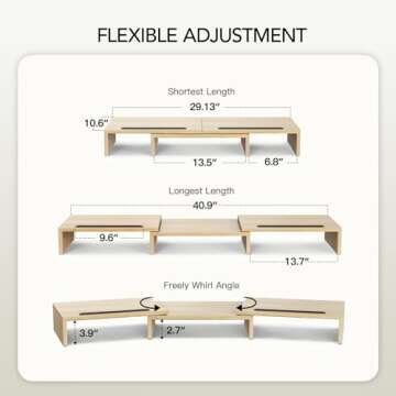 AMERIERGO Dual Monitor Stand Riser for Ergonomic Workspace