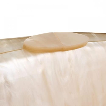 Acrylic Shell Clutch Women Versatile Party Wedding Bag