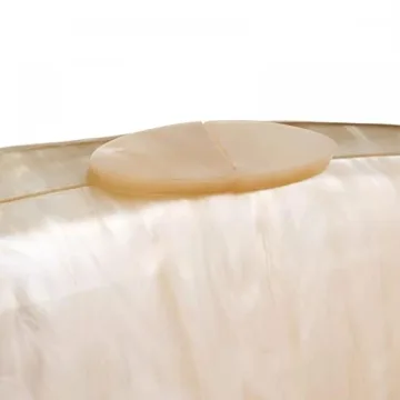 Acrylic Shell Clutch Women Versatile Party Wedding Bag