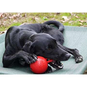 Jolly Pets Tug-n-Toss Heavy Duty Dog Toy Ball with Handle, 4 Inches/Petite, Red