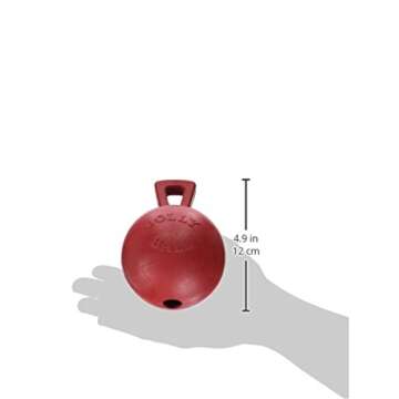 Jolly Pets Tug-n-Toss Heavy Duty Dog Toy Ball with Handle, 4 Inches/Petite, Red