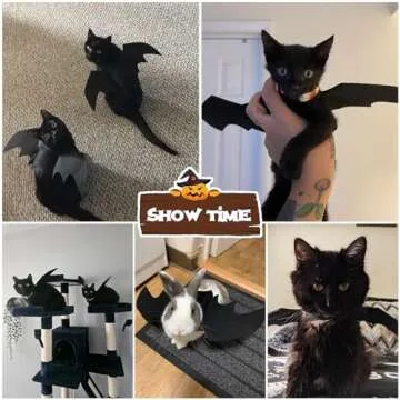Pet Cat Bat Wings Halloween Dog Bat Costume, Bat Wings for Cat Halloween Costume Puppy Kitten Cosplay Bat Costume Pet Apparel, Cat Wings for Halloween Party Decoration Dress up Accessories