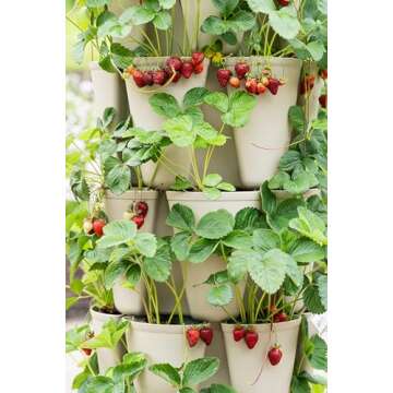 Greenstalk Patented Large 5 Tier Vertical Garden Planter with Patented Internal Watering System Great for Growing a Variety of Strawberries, Vegetables, Herbs, & Flowers (Stunning Stone)