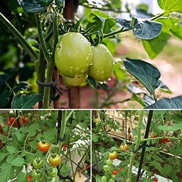 Shintop Garden Ties - Reusable and Versatile Plant Support