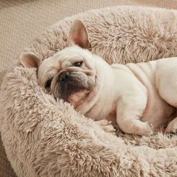 Love's Cabin Calming Dog & Cat Bed for Small Pets