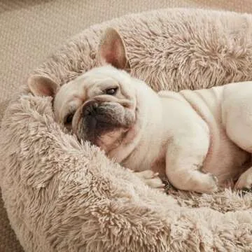 Love's Cabin Calming Dog & Cat Bed for Small Pets