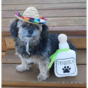 Baja Ponchos Fiesta Dog Chew Toys - Fun Plush Set