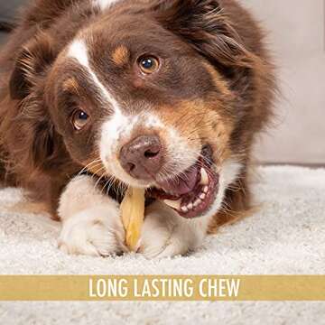 Wild Eats All Natural Ear Dog Chews - 20 Pieces