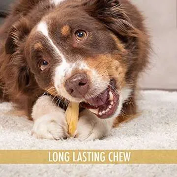 Wild Eats All Natural Ear Dog Chews - 20 Pieces