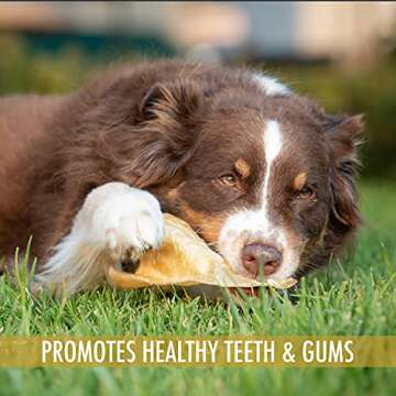 Wild Eats All Natural Ear Dog Chews - 20 Pieces