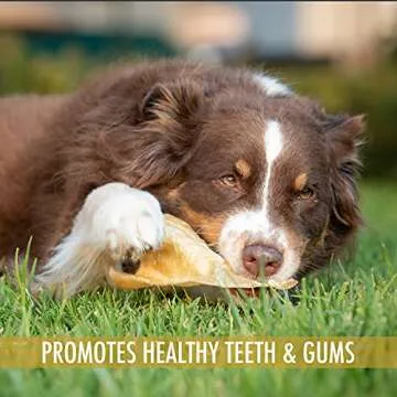 Wild Eats All Natural Ear Dog Chews - 20 Pieces