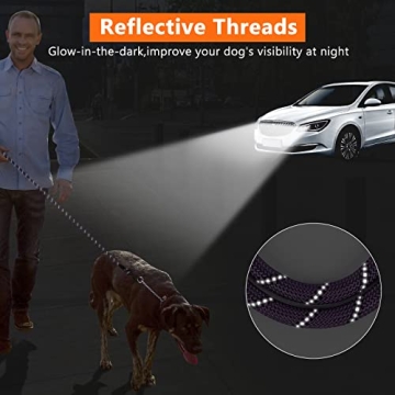 NTR 15FT Strong Reflective Dog Leash for Training and Play