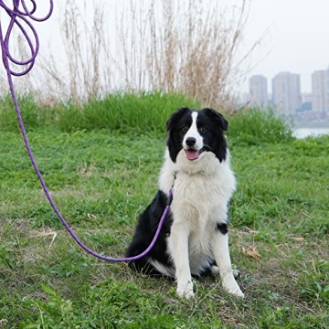 NTR 15FT Strong Reflective Dog Leash for Training and Play