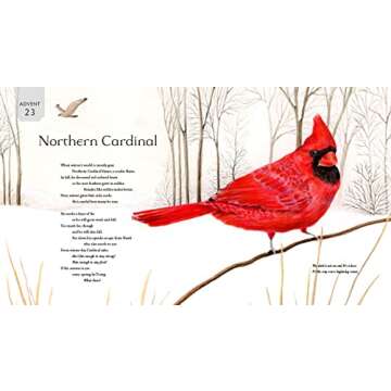 All Creation Waits ― Children's Edition: The Advent Mystery of New Beginnings for Children