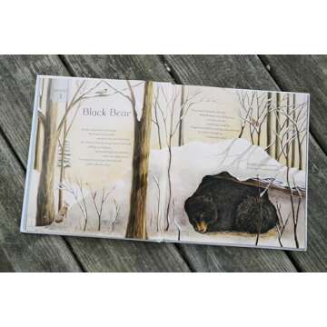 All Creation Waits ― Children's Edition: The Advent Mystery of New Beginnings for Children