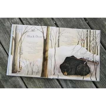 All Creation Waits ― Children's Edition: The Advent Mystery of New Beginnings for Children