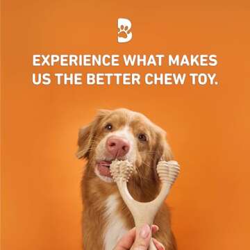 BetterBone Dog Chew Toys - Hard Density, Non-Toxic, Eco-Friendly