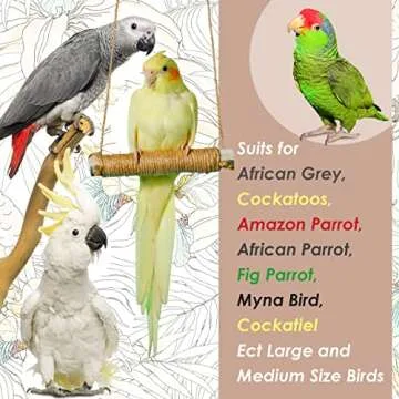 SIMENA Bird Chewing Toy for Parrots, Bite Toy for African Grey Cockatoos Amazon Parrots Large and Medium Size Parrots, Bird Toys for Cage, Parrot Toys Made of Natural Wooden Blocks (Plain)